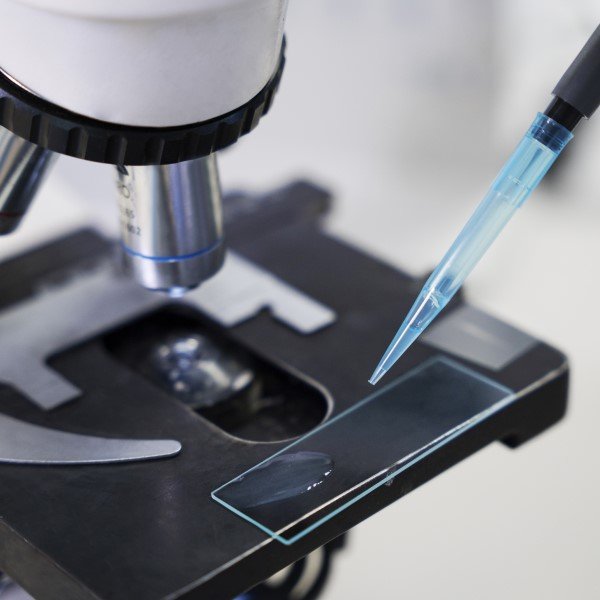 Como Criar Obras de Arte Utilizando Microscopia Eletrônica