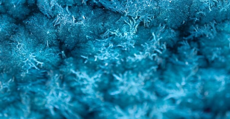 Paisagens microscópicas em lâminas