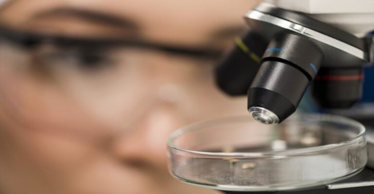 Como Criar Obras de Arte Utilizando Microscopia Eletrônica