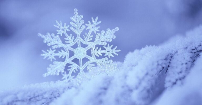 Cristais efêmeros: arte com compostos instáveis