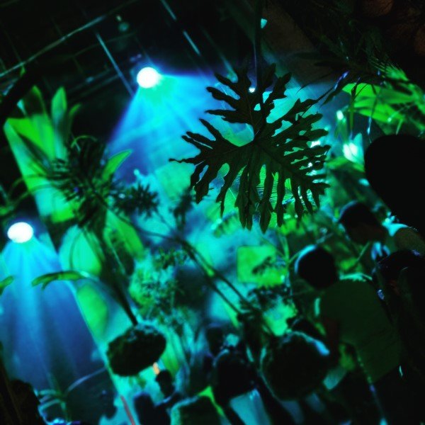 Arte Bioluminescente em Eventos