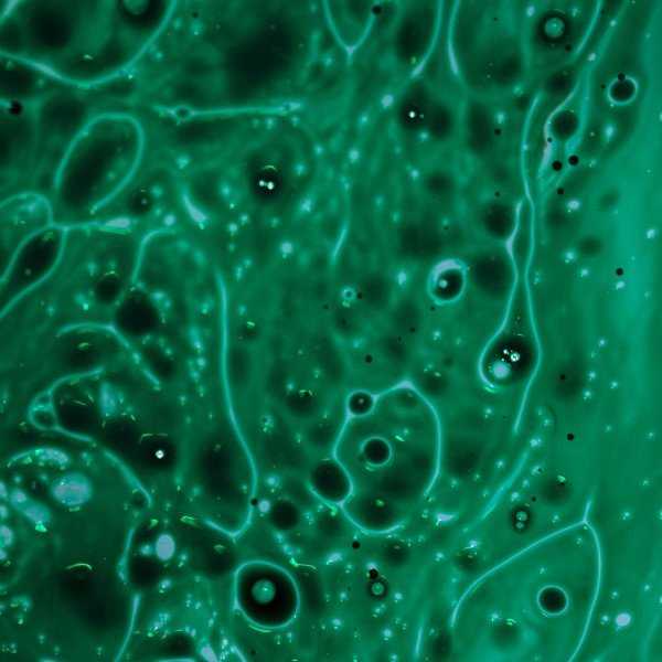 O Impacto da Iluminação na Percepção de Texturas Microscópicas