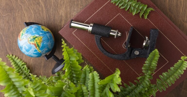 A Relação Entre Arte Microtopográfica e Ciências Naturais