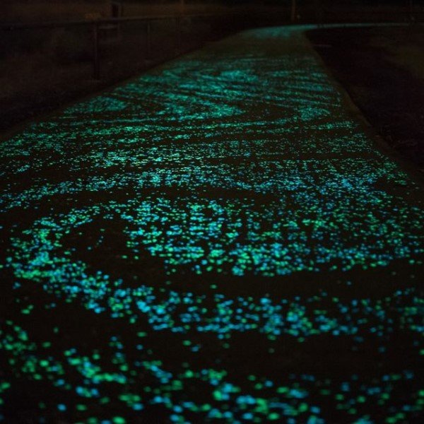 Projetos de Arquitetura Baseados na Bioluminescência