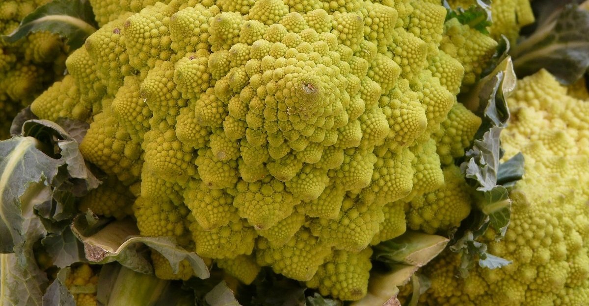 fractals
