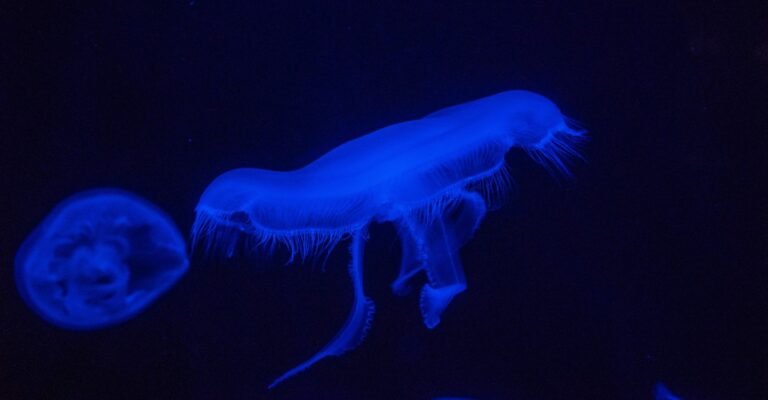 Desafios e Limitações da Arte Bioluminescente