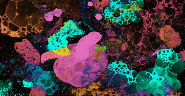 Experimentos Artísticos com Algas Bioluminescentes