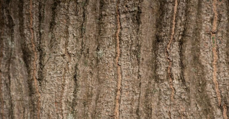 Como Transformar Microtexturas em Ilustrações