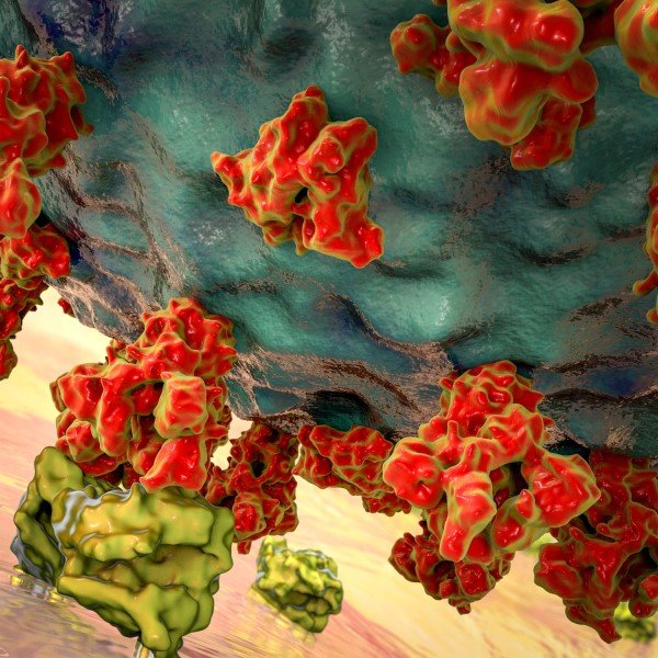 Como Criar Animações Baseadas em Superfícies Microscópicas