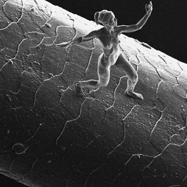 Microtopografia Como Inspiração de Expressão Artística