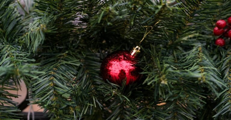 A Textura Microscópica dos Símbolos Natalinos