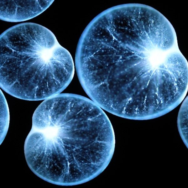 Aquários Artísticos com Organismos Luminosos