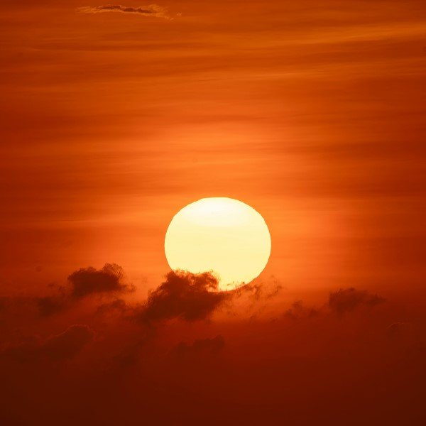 Leonino Sem Plateia: O que Acontece?