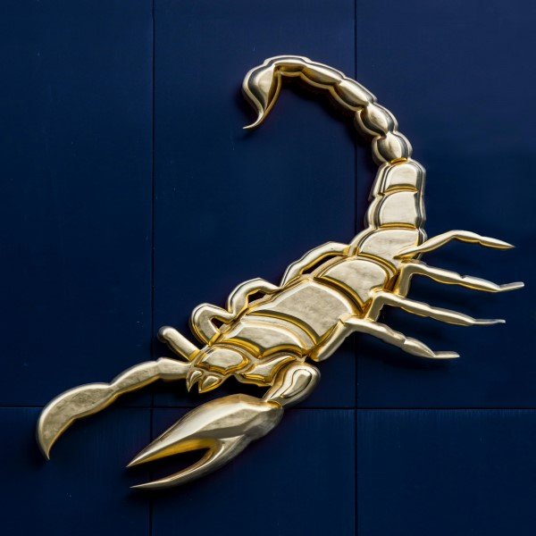 Escorpião Não Esquece — Sabe Qual o Motivo?