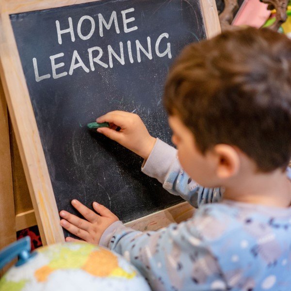 Educação Domiciliar: Quem Realmente Pode Escolher?