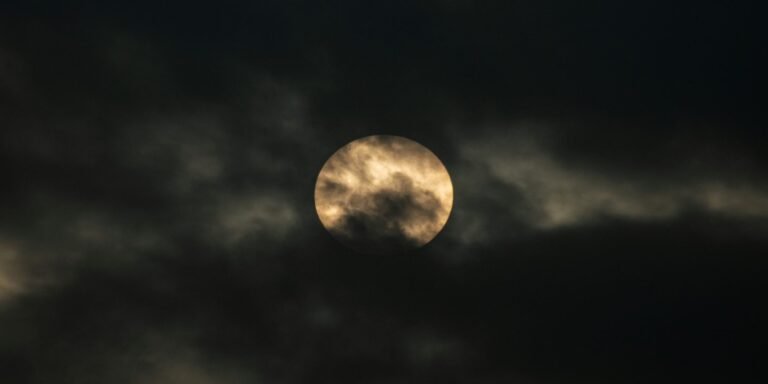 A Lua e Tudo que Desperta quando o Sol vai Embora